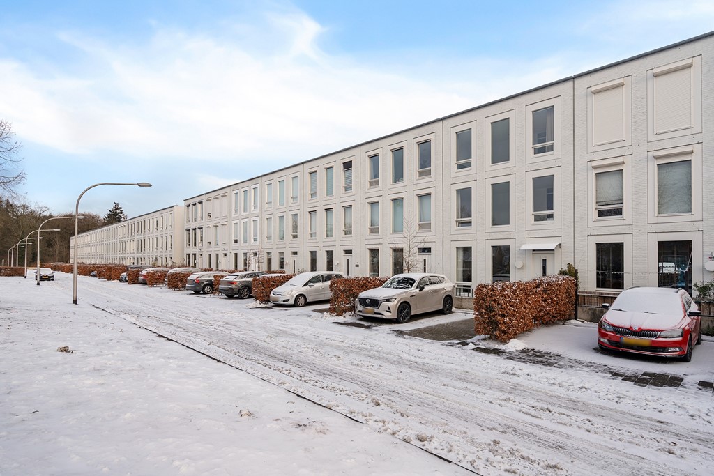 Roelofsbeldstraat 6-03.jpg